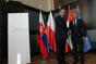 Prime minister Petr Nečas hosted a formal Summit of prime ministers of the Visegrad Group countries in Prague on Friday 22 June 2012.