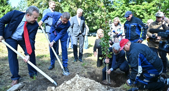 Společně s ministry Brabcem a Havlíčkem premiér Babiš a starosta Buřt vysadili v Horním Jiřetíně tři nové lípy, 18. září 2019.