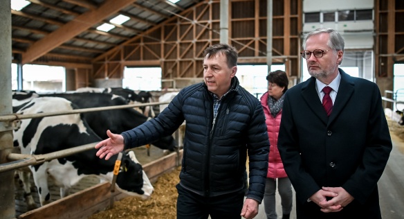 Premiér Petr Fiala si prohlédl rodinnou farmu HOLE, která se specializuje na chov slepic a krav holštýnského plemene, 22. února 2024.