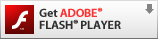 Stáhnout Adobe Flash Player
