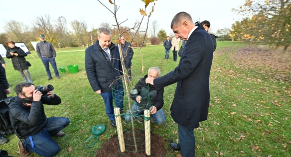 Premiér Babiš v Průhonicích otevřel Stezku sucha, která pomáhá najít správné stromy do vyprahlých měst, 31. října 2019.