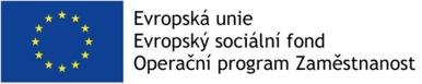Implementace Vládní strategie pro rovnost žen a mužů v České republice na léta 2014-2020 a související aktivity